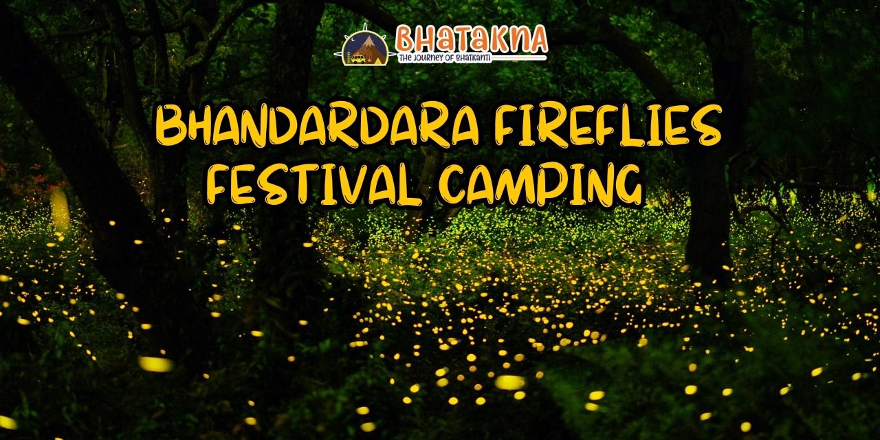 media-desktop-bhandardara-fireflies-camping-bhatakna-0-2023-4-14-t-4-45-22.jpg