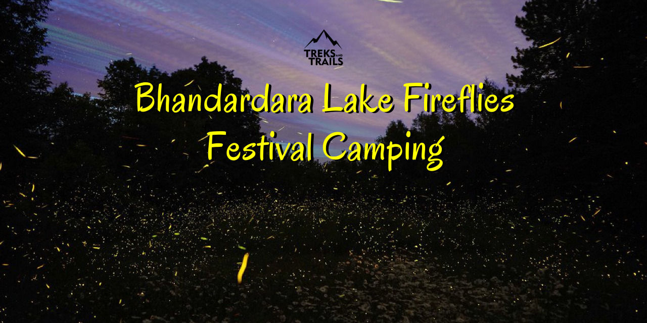 media-desktop-bhandardara-fireflies-festival-camping-ac-bus-0-2024-4-23-t-11-30-30.jpg