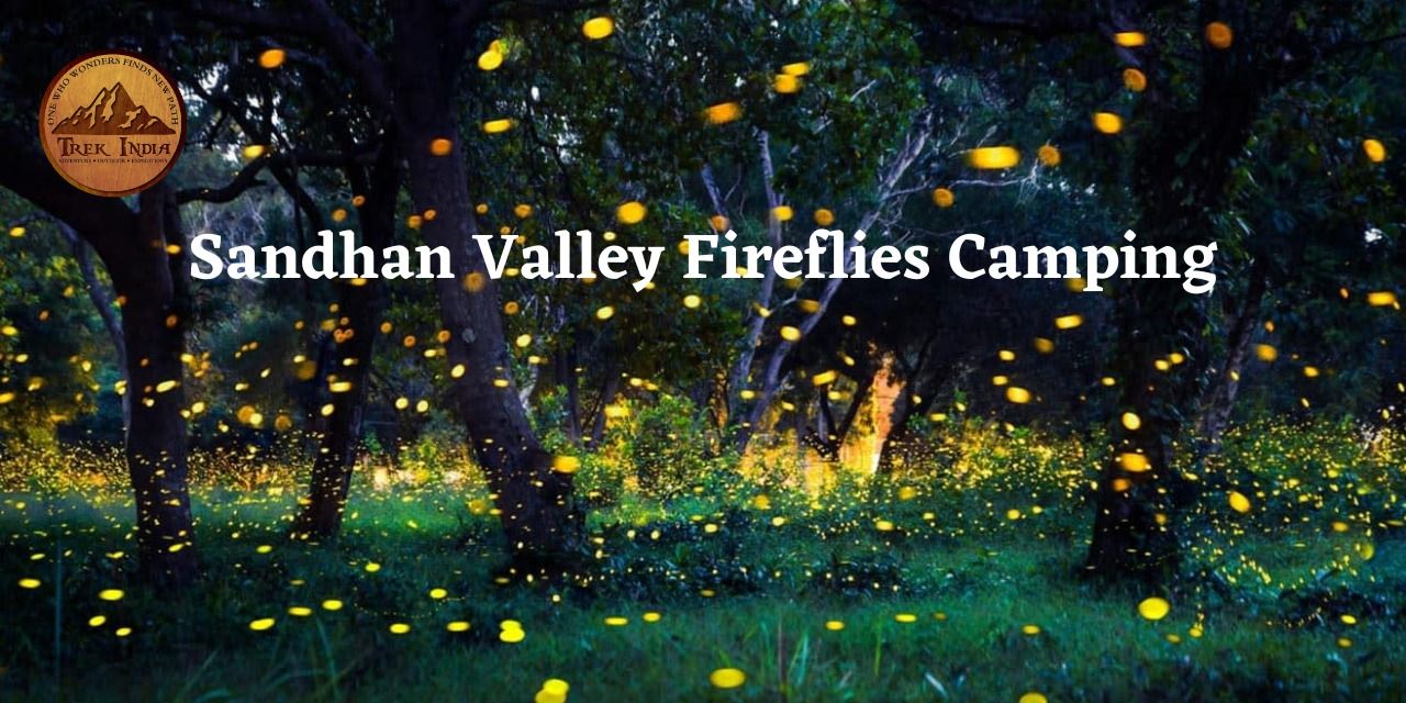 media-desktop-bhandardara-sandhan-valley-fireflies-camping-0-2026-5-13-t-10-57-0.jpg