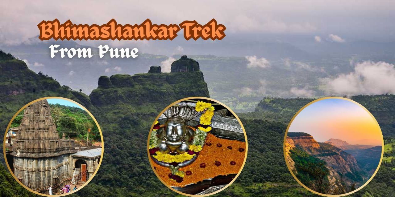 media-desktop-bhimashankar-trek-0-2025-6-26-t-12-1-25.jpg