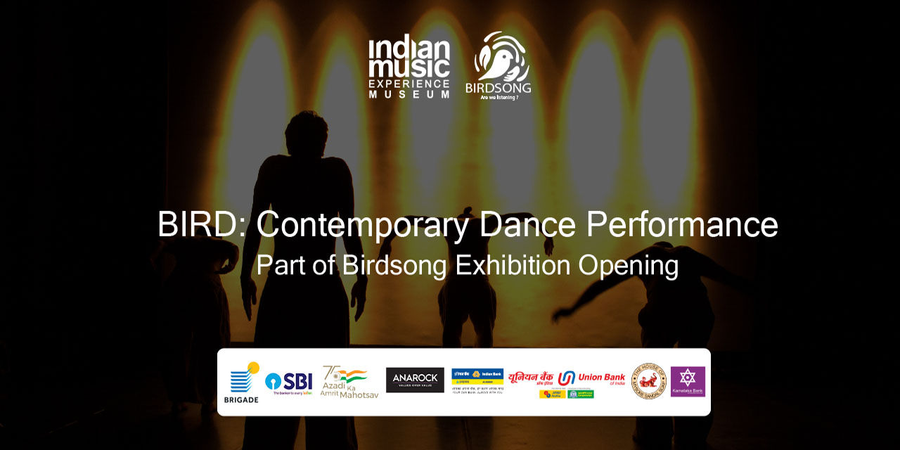 media-desktop-bird-contemporary-dance-performance-0-2022-3-21-t-6-48-38.jpg