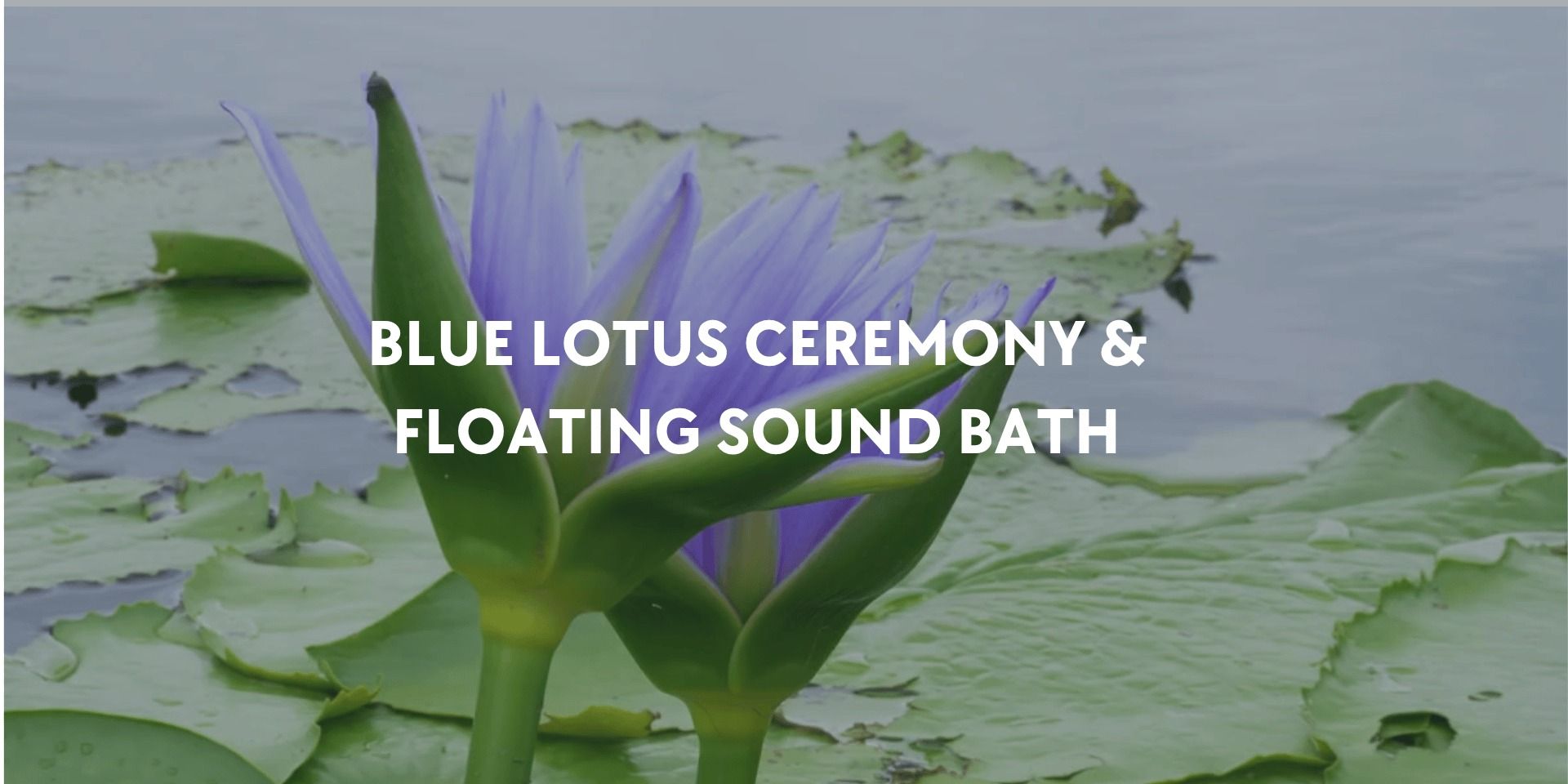 media-desktop-blue-lotus-ceremony-floating-sound-bath-0-2026-9-2-t-15-46-19.jpg