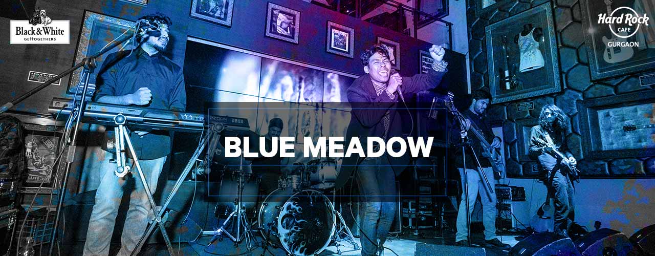 media-desktop-blue-meadow-thursday-live-2019-3-6-t-18-20-15.jpg