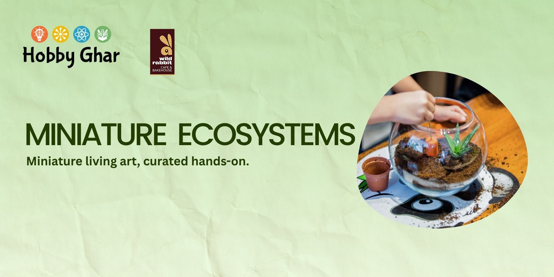 media-desktop-build-your-green-world-terrarium-workshop-0-2026-6-13-t-8-49-31.jpg
