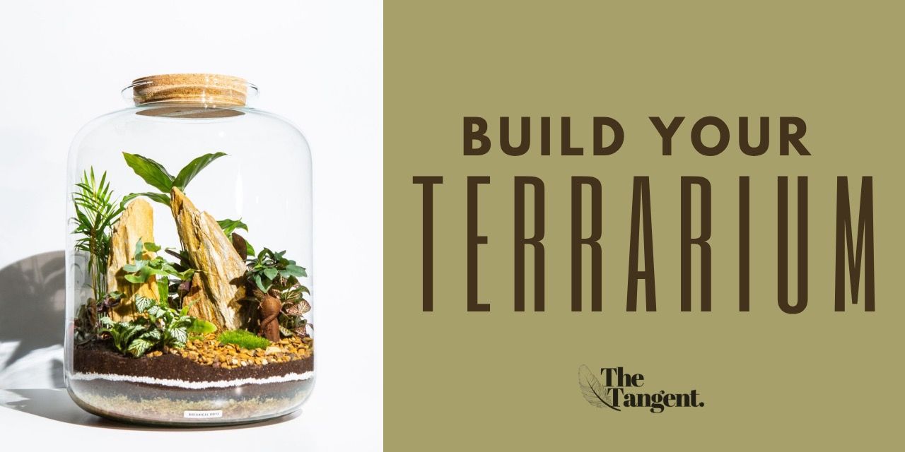 Build Your Own Terrarium workshops  Pune - BookMyShow