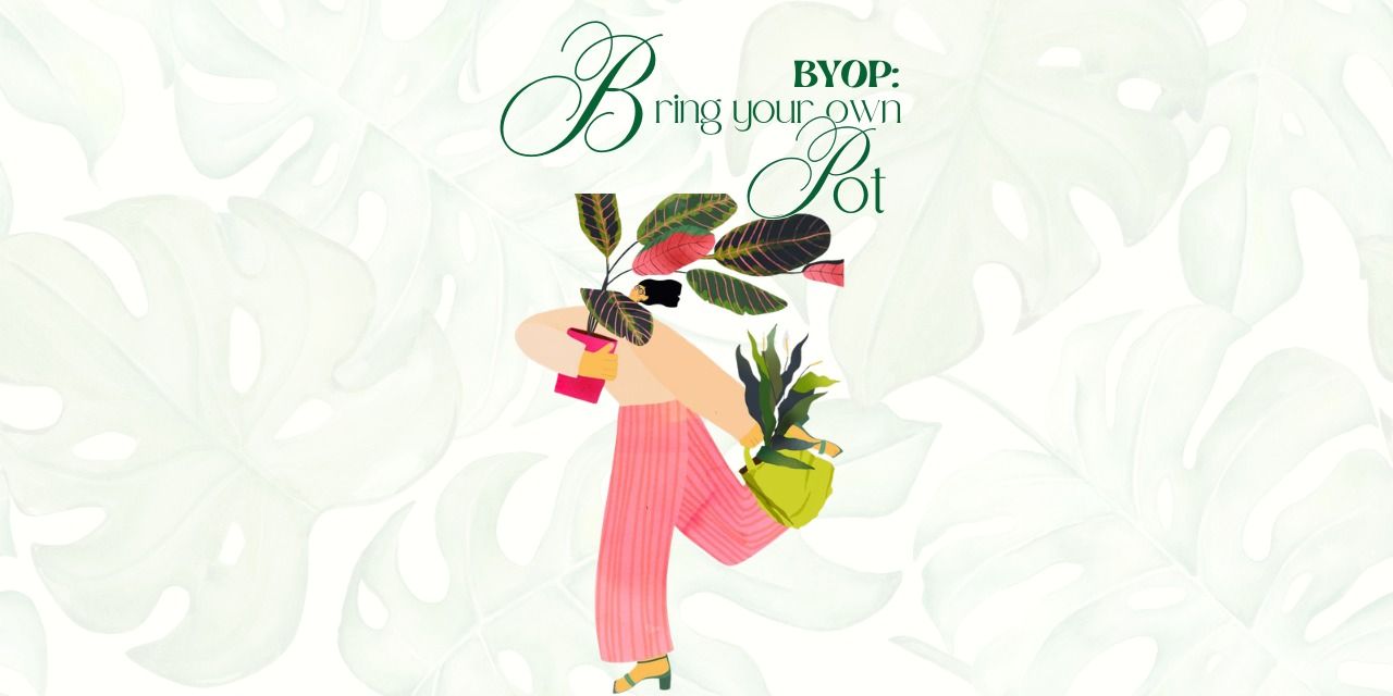 media-desktop-byop-bring-your-own-pot-0-2026-6-28-t-7-50-20.jpg