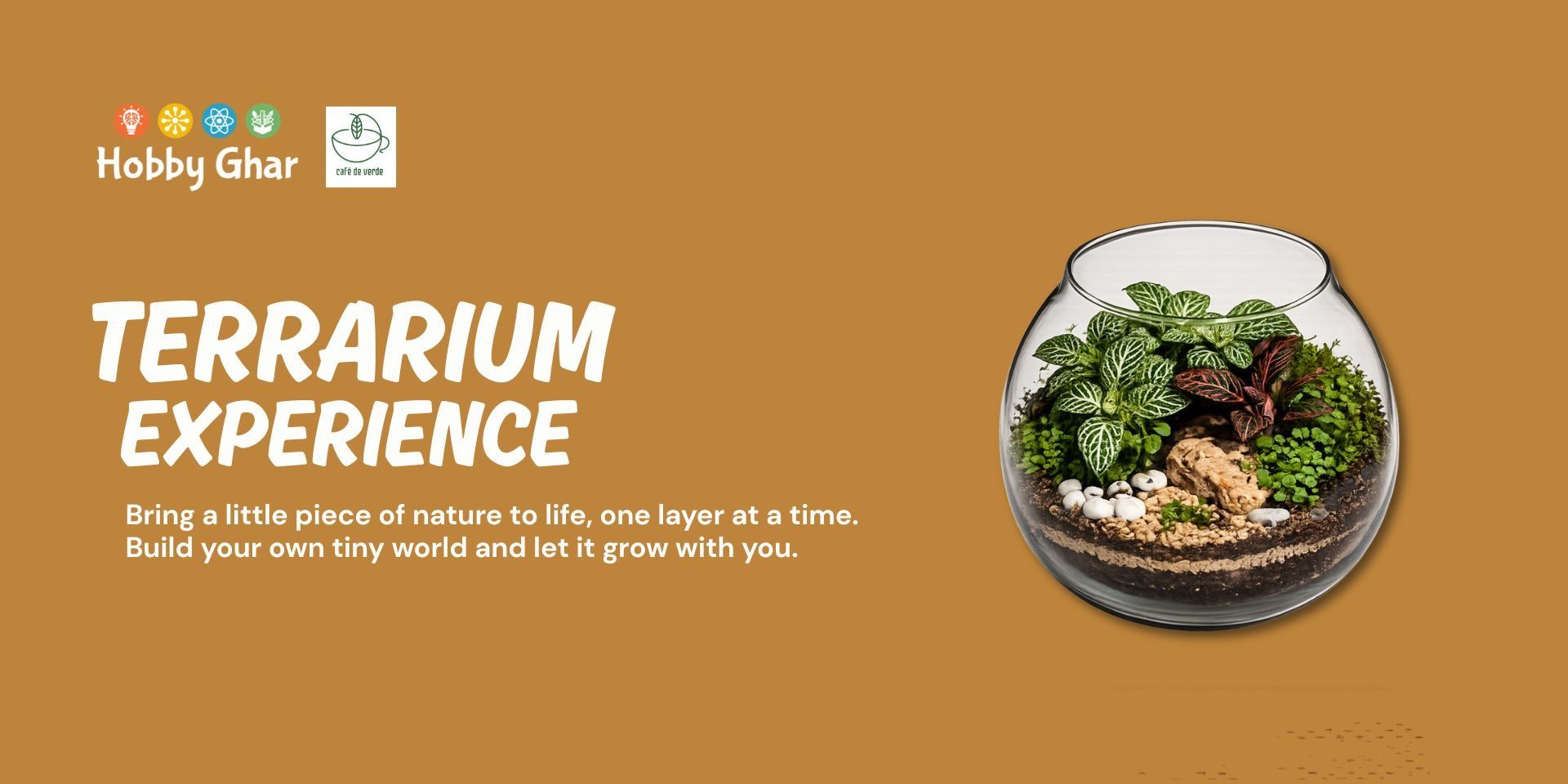 media-desktop-cafe-de-verde-terrarium-0-2026-9-23-t-16-12-35.jpg