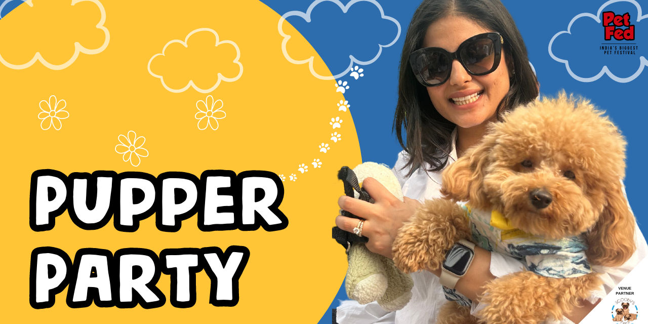media-desktop-chennai-pupper-party-0-2023-7-11-t-13-16-29.jpg
