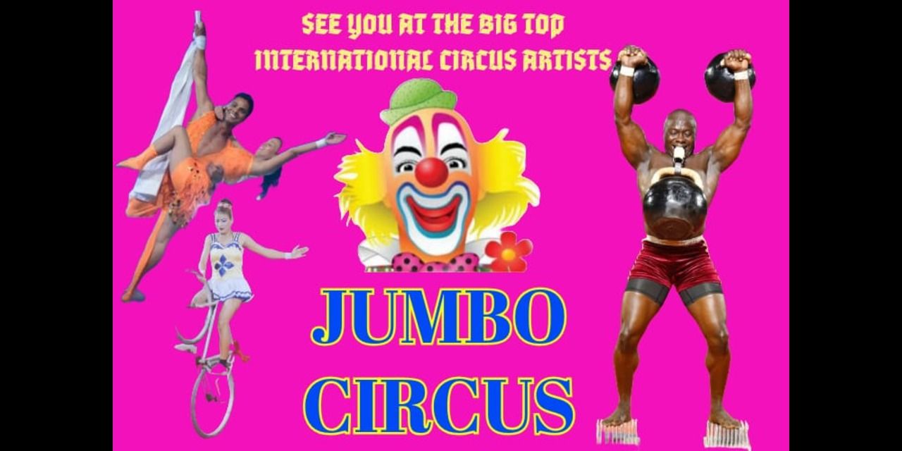 media-desktop-circus-0-2025-6-16-t-14-26-28.jpg