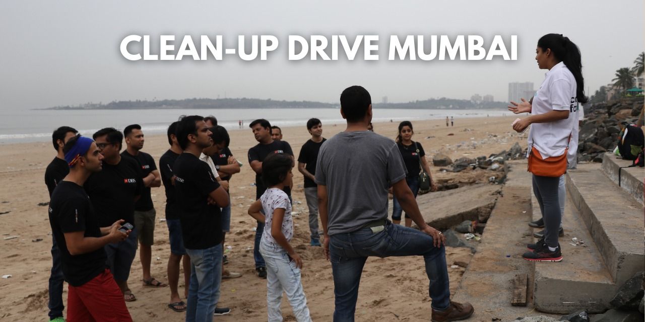 media-desktop-clean-up-drive-dadar-0-2024-1-2-t-11-13-21.jpg