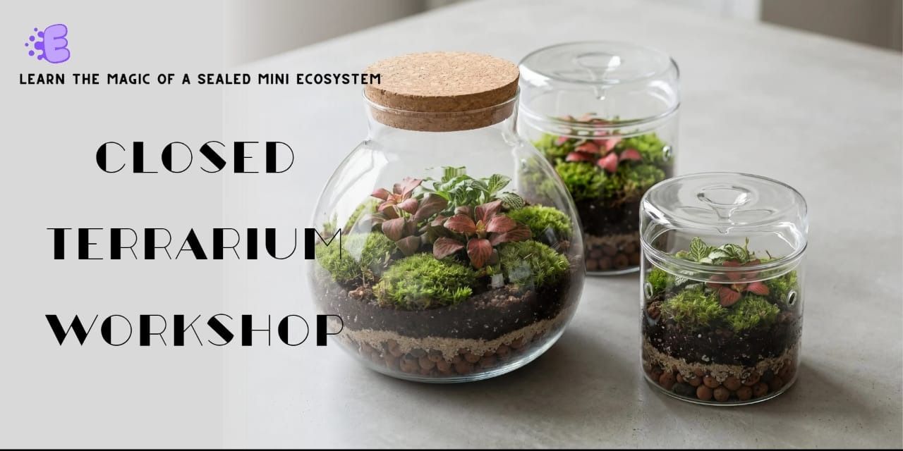 media-desktop-closed-terrarium-making-0-2026-8-14-t-18-29-24.jpg