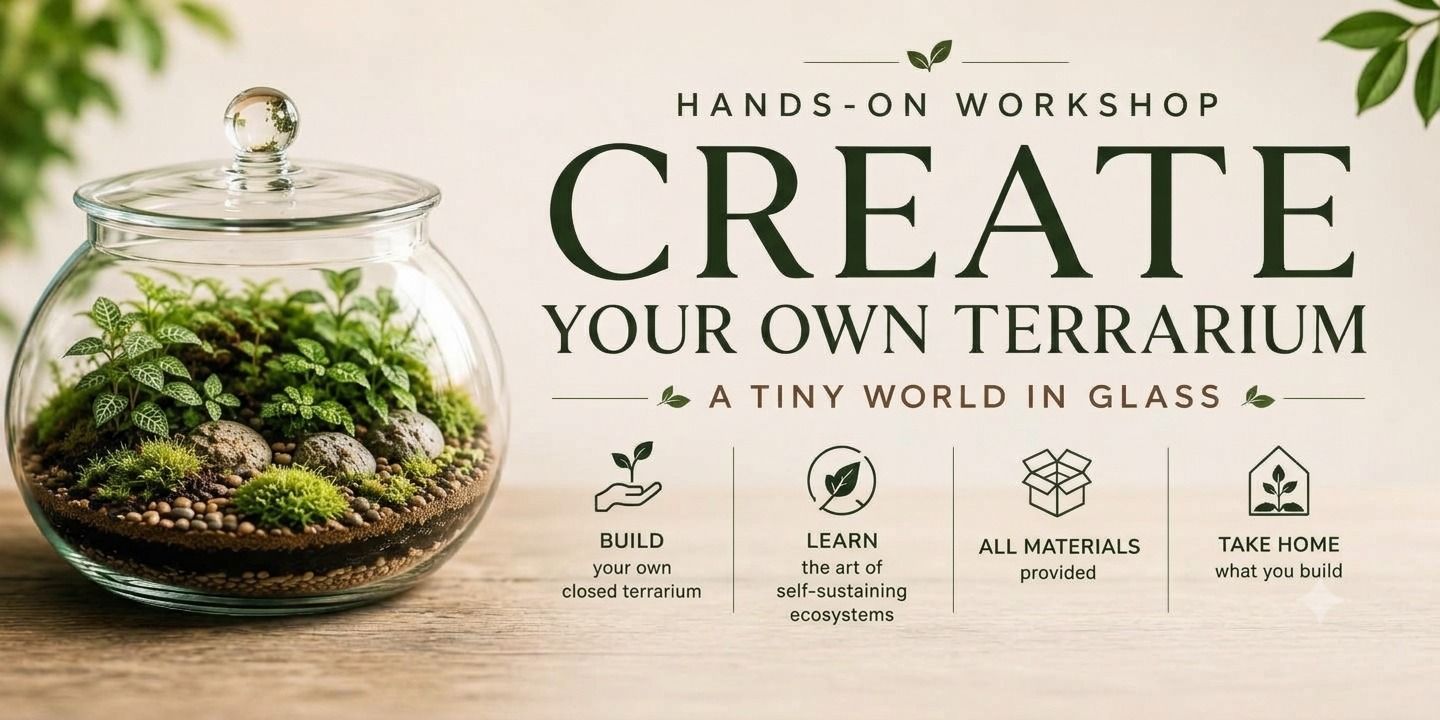 media-desktop-closed-terrarium-workshop-0-2026-10-21-t-12-58-11.jpg