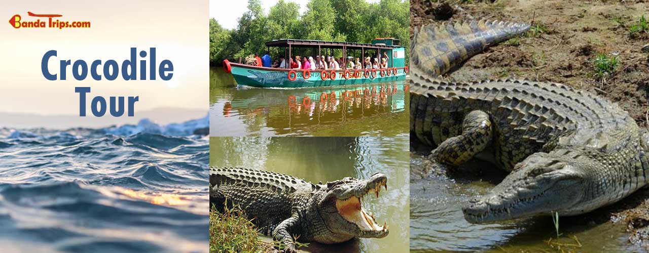 media-desktop-crocodile-tour-2020-1-15-t-11-26-14.jpg