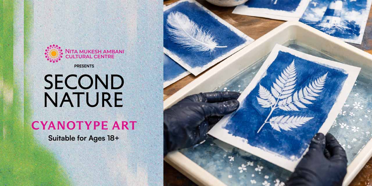 media-desktop-cyanotype-art-0-2026-9-22-t-19-23-16.jpg