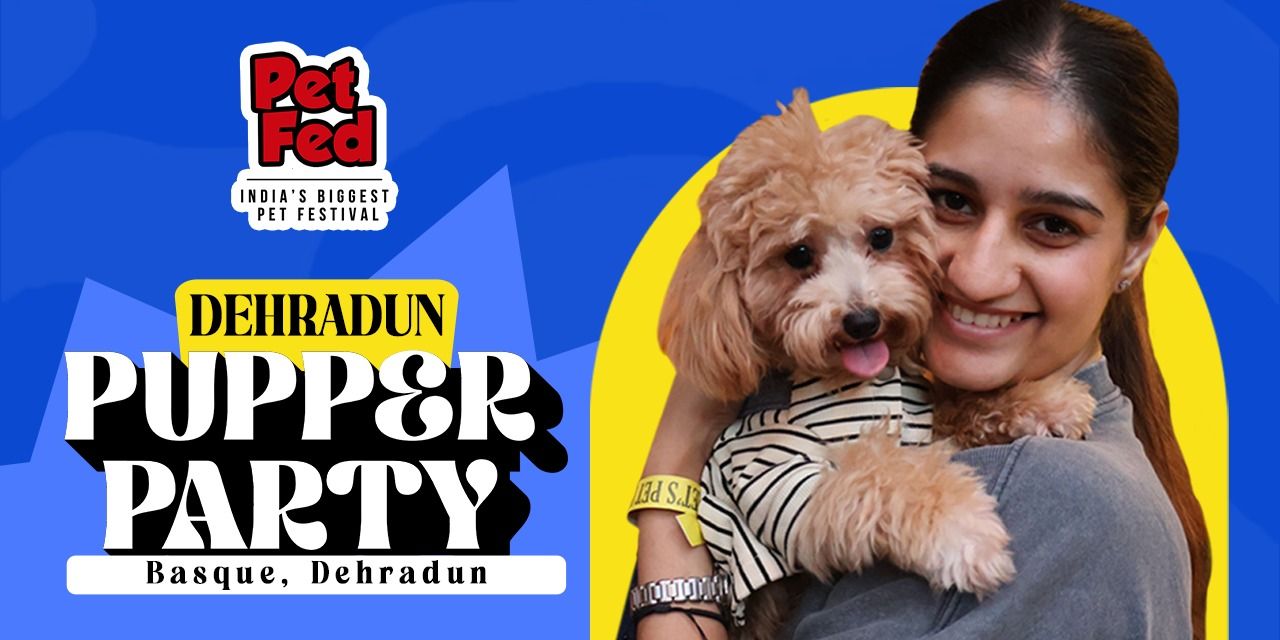 media-desktop-dehradun-pupper-party-0-2025-12-1-t-13-26-30.jpg