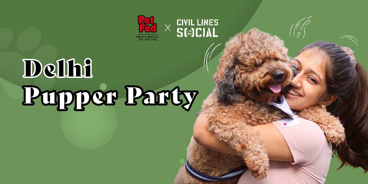 media-desktop-delhi-pupper-party-0-2023-9-5-t-13-2-49.jpg