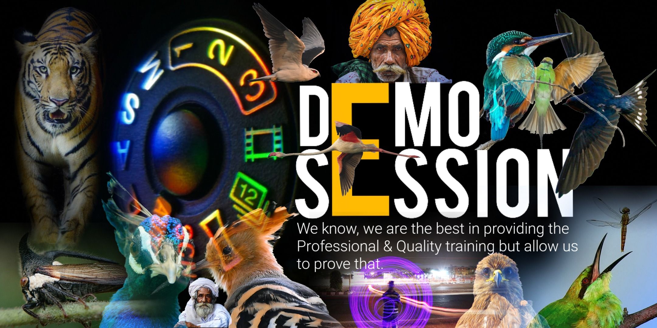 media-desktop-demo-session-basics-of-photography-0-2024-11-5-t-6-42-15.jpg