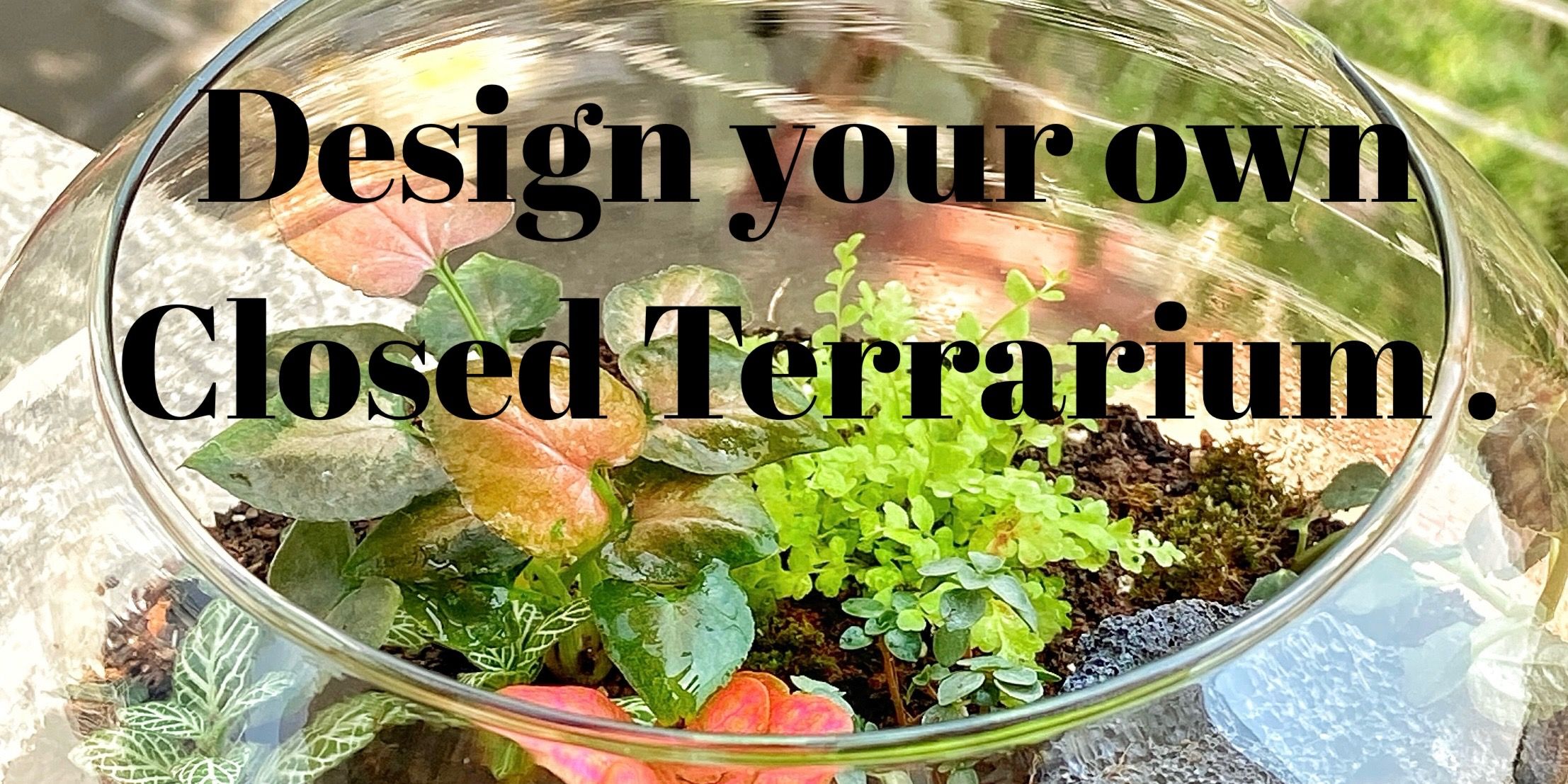 media-desktop-design-your-own-closed-terrarium-0-2025-3-24-t-14-46-14.jpg