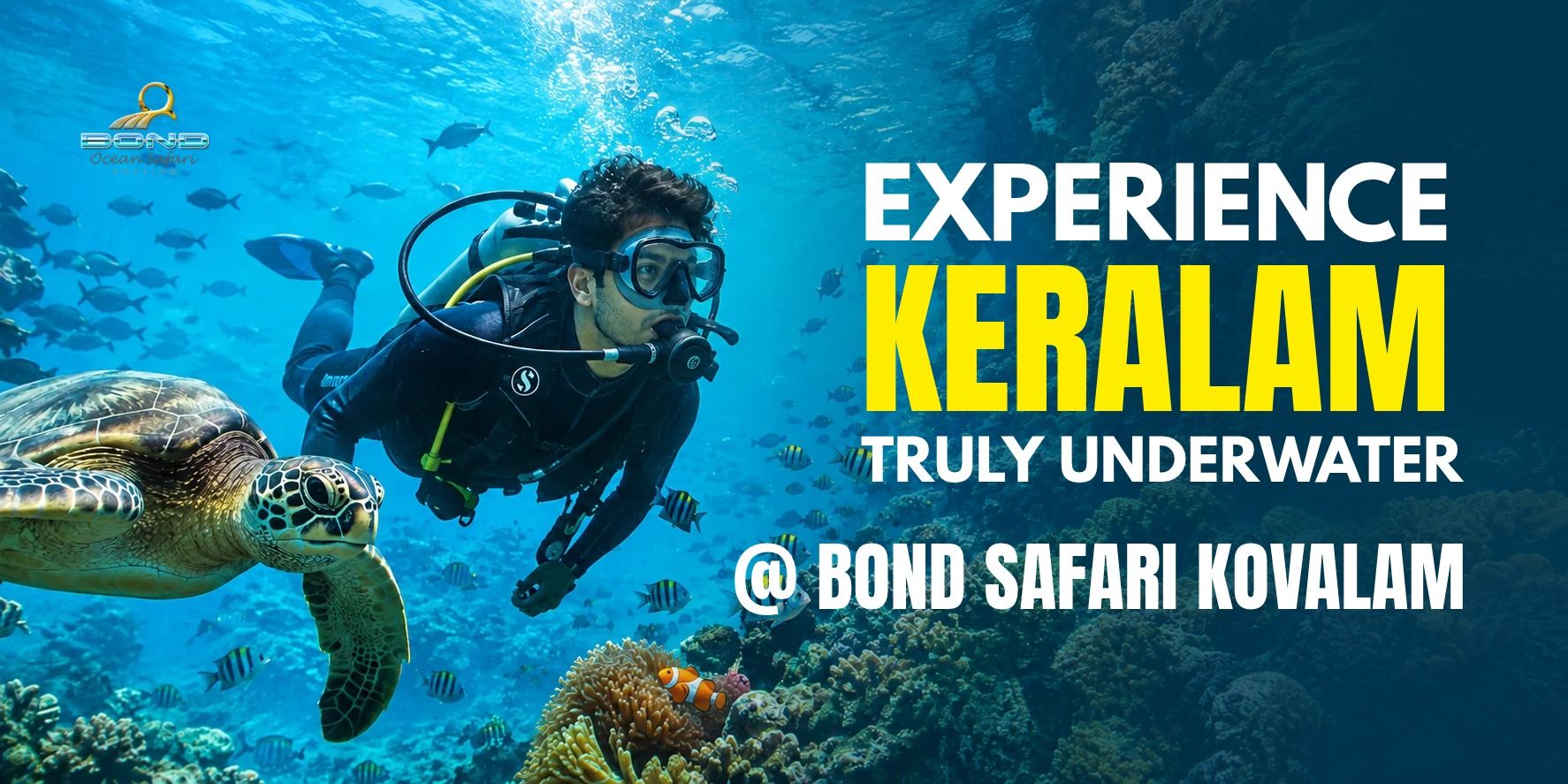 media-desktop-discover-scuba-diving-dsd-0-2026-9-14-t-12-7-13.jpg