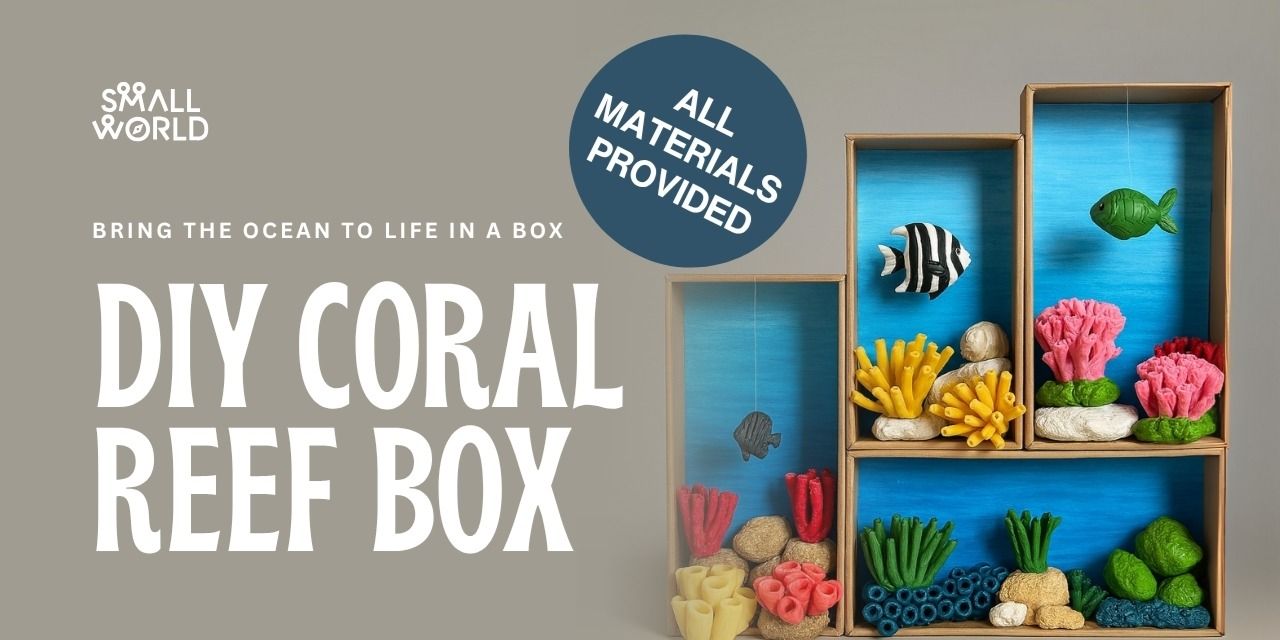 media-desktop-diy-coral-reef-box-0-2025-7-16-t-5-54-45.jpg