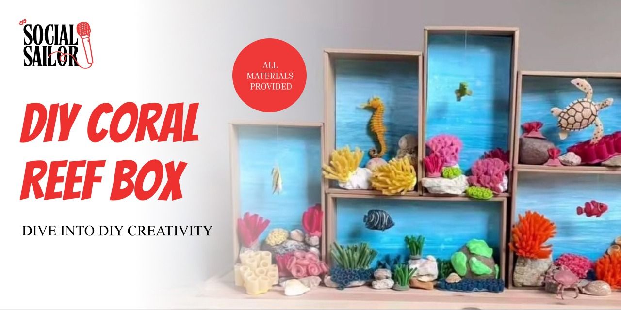 media-desktop-diy-coral-reef-delhi-ncr-0-2026-5-5-t-11-5-26.jpg