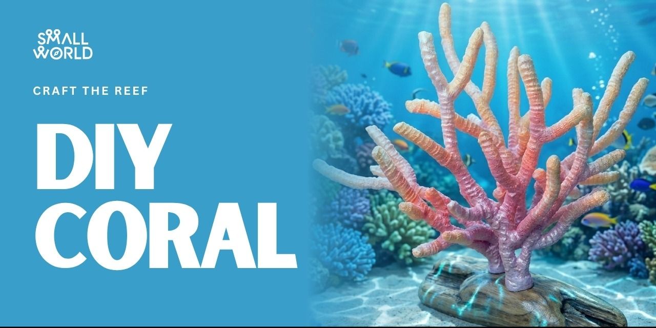 media-desktop-diy-coral-workshop-0-2026-5-13-t-16-56-57.jpg