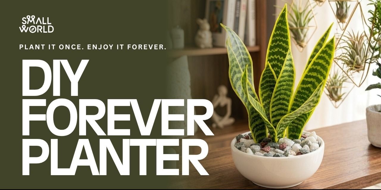 media-desktop-diy-forever-planter-0-2026-5-5-t-13-57-6.jpg