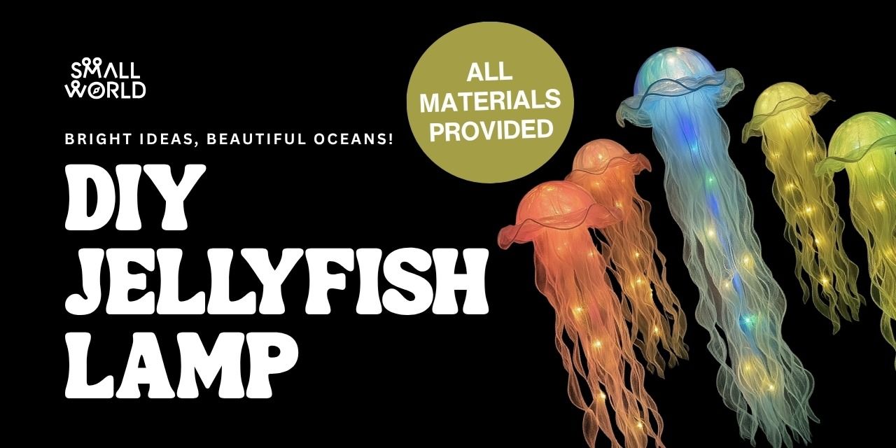 media-desktop-diy-jellyfish-lamp-0-2025-7-27-t-12-5-40.jpg