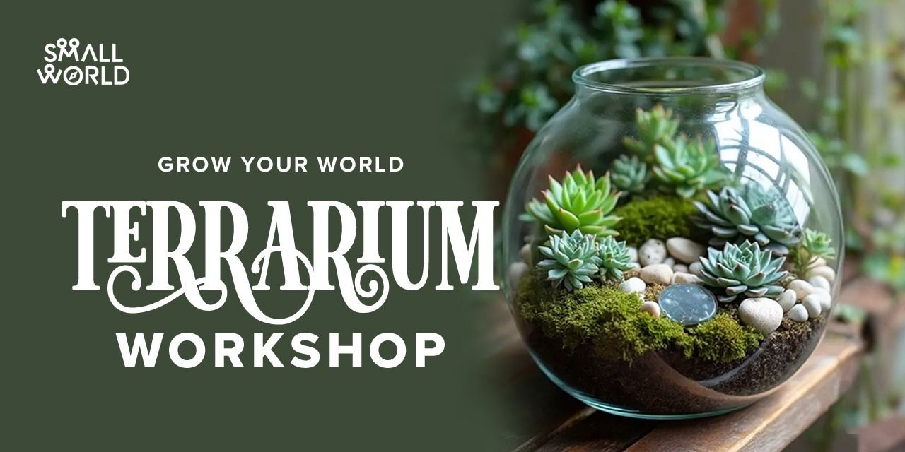 media-desktop-diy-terrarium-workshop-0-2026-7-2-t-4-3-38.jpg
