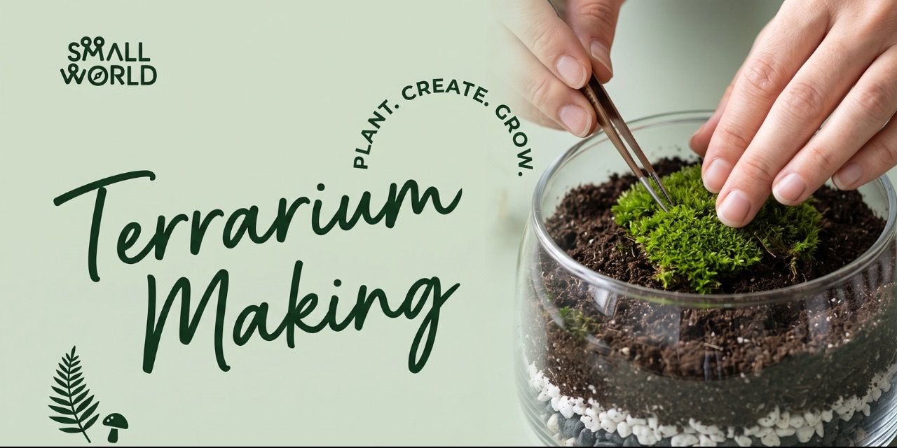 media-desktop-diy-terrarium-workshop-2-2026-7-2-t-4-3-38.jpg