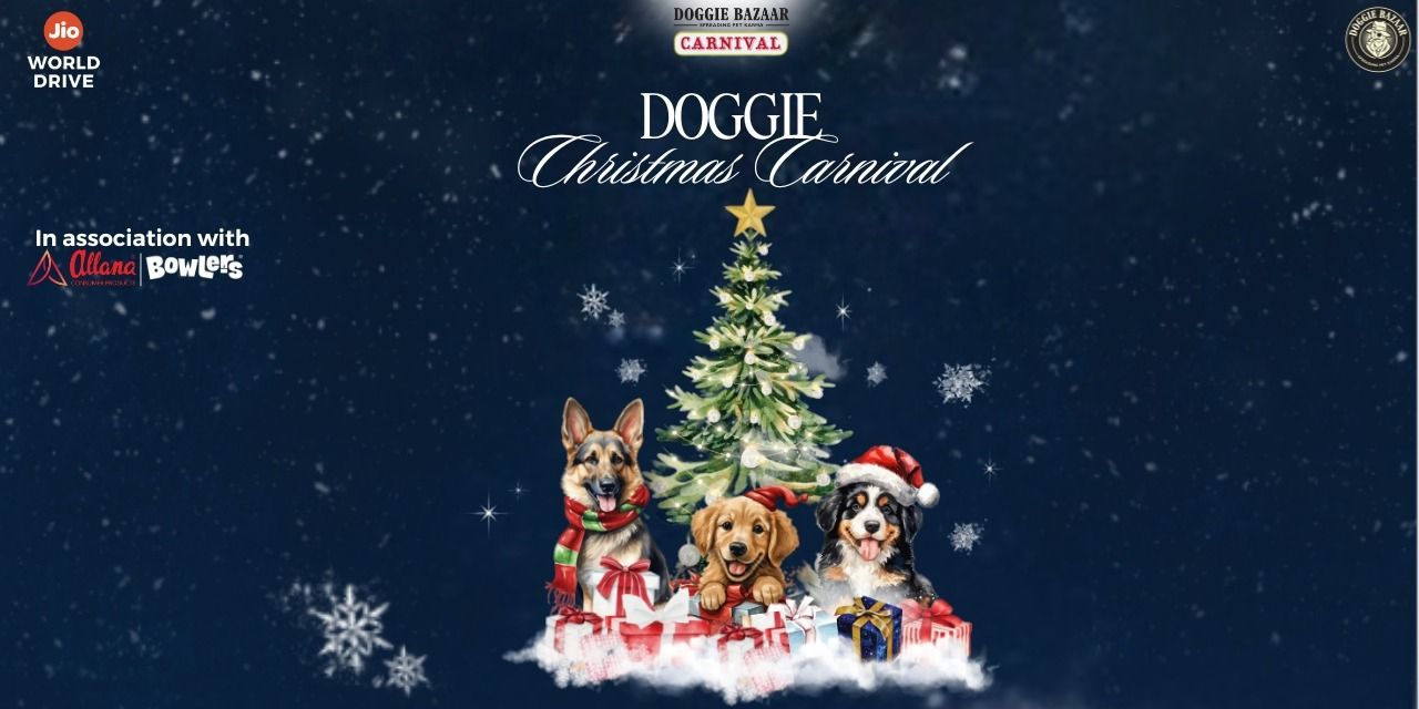 media-desktop-doggie-christmas-carnival-mumbai-0-2024-11-25-t-12-21-9.jpg