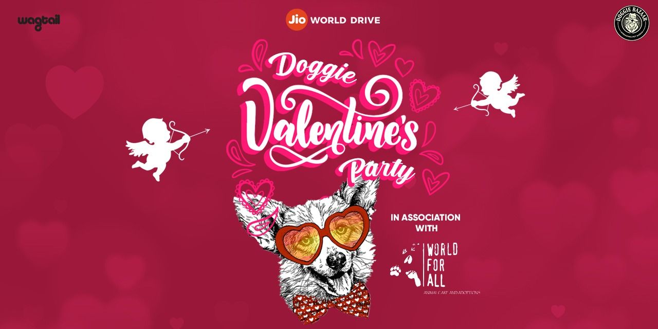 media-desktop-doggie-valentine-party-mumbai-0-2022-2-15-t-7-34-56.jpg