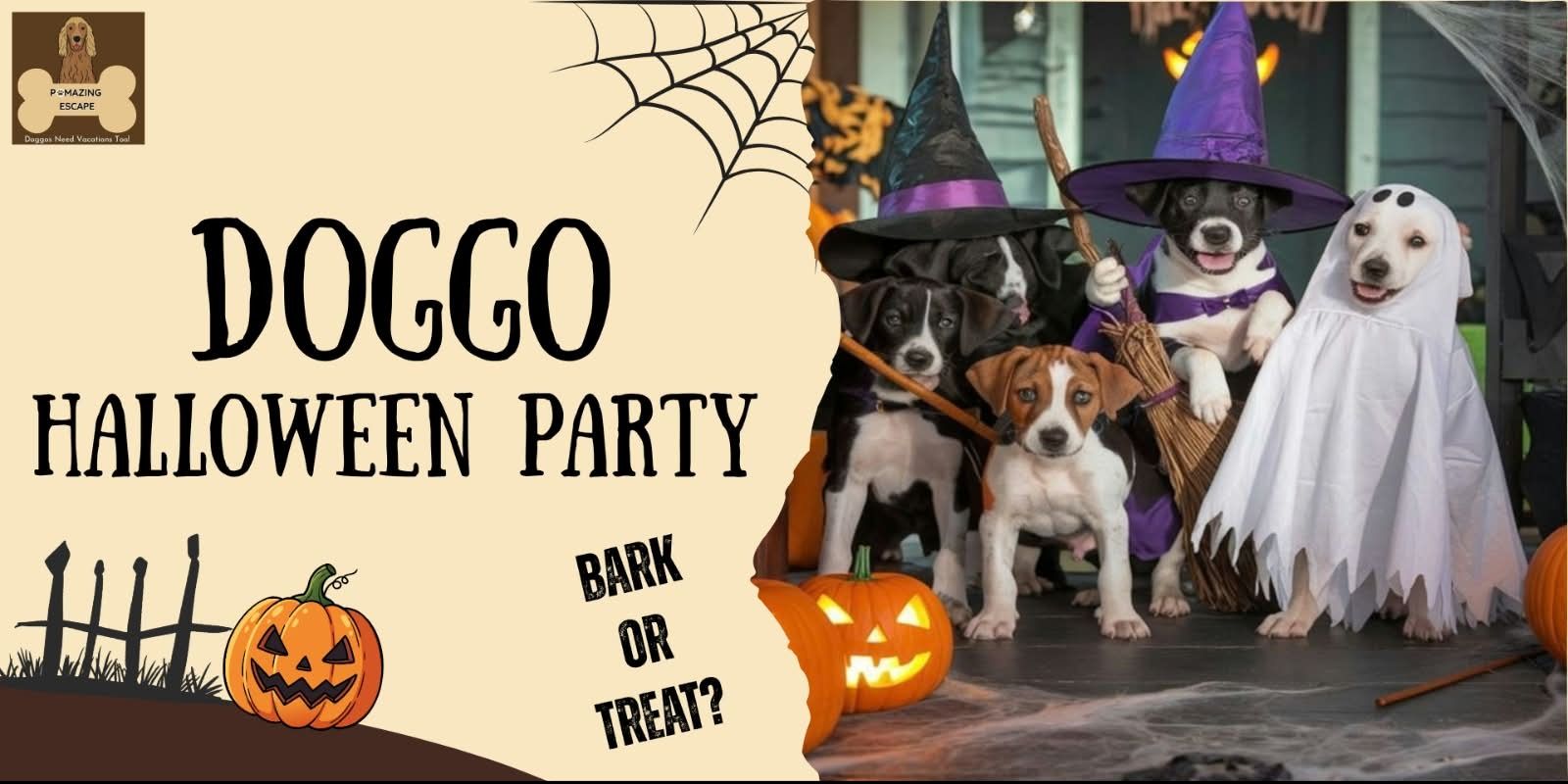 media-desktop-doggo-halloween-party-0-2026-10-17-t-16-56-29.jpg