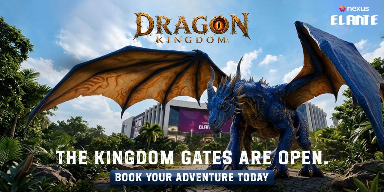 media-desktop-dragon-kingdom-0-2026-6-4-t-8-35-44.jpg
