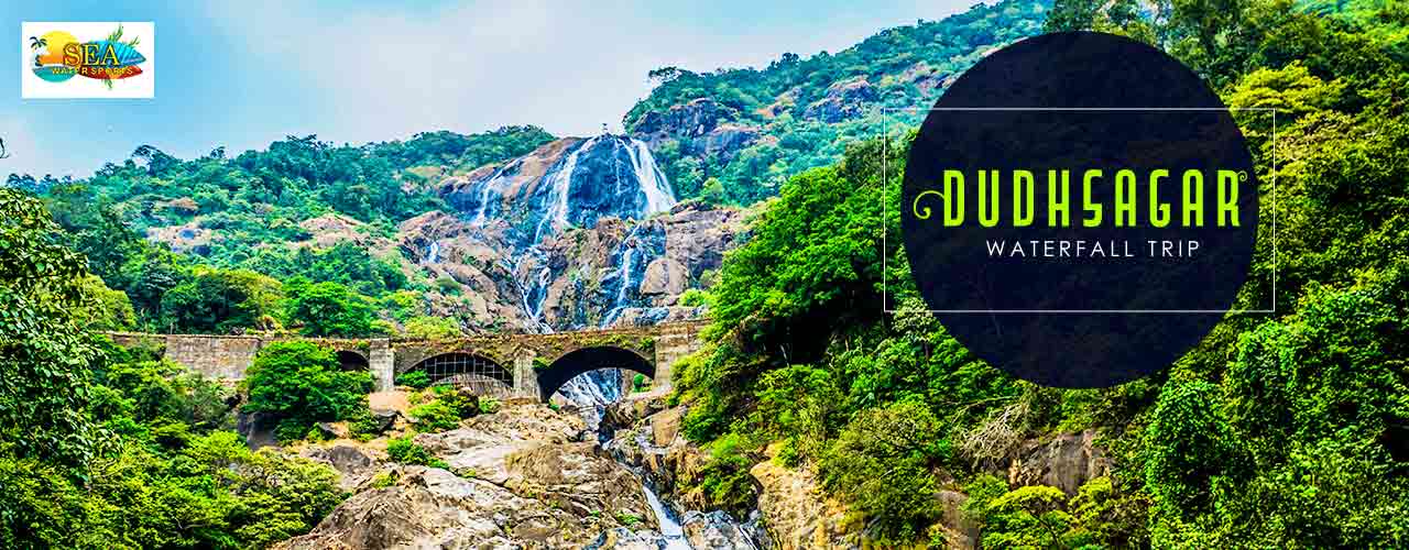 media-desktop-dudhsagar-waterfall-trip-2019-3-14-t-14-21-15.jpg