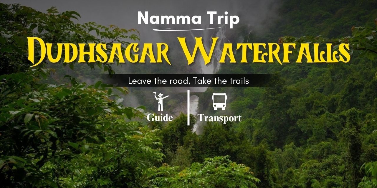 Dudhsagar Waterfalls Trek by Namma trip
