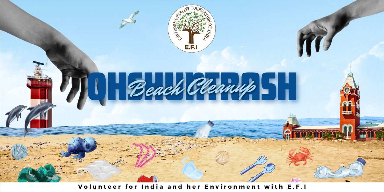 media-desktop-e-f-i-s-ohshuntrash-0-2024-3-25-t-11-50-58.jpg