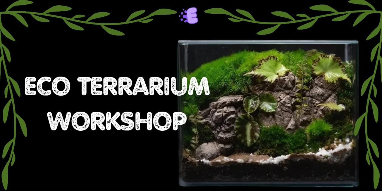 media-desktop-eco-terrarium-workshop-0-2026-8-12-t-14-52-9.jpg