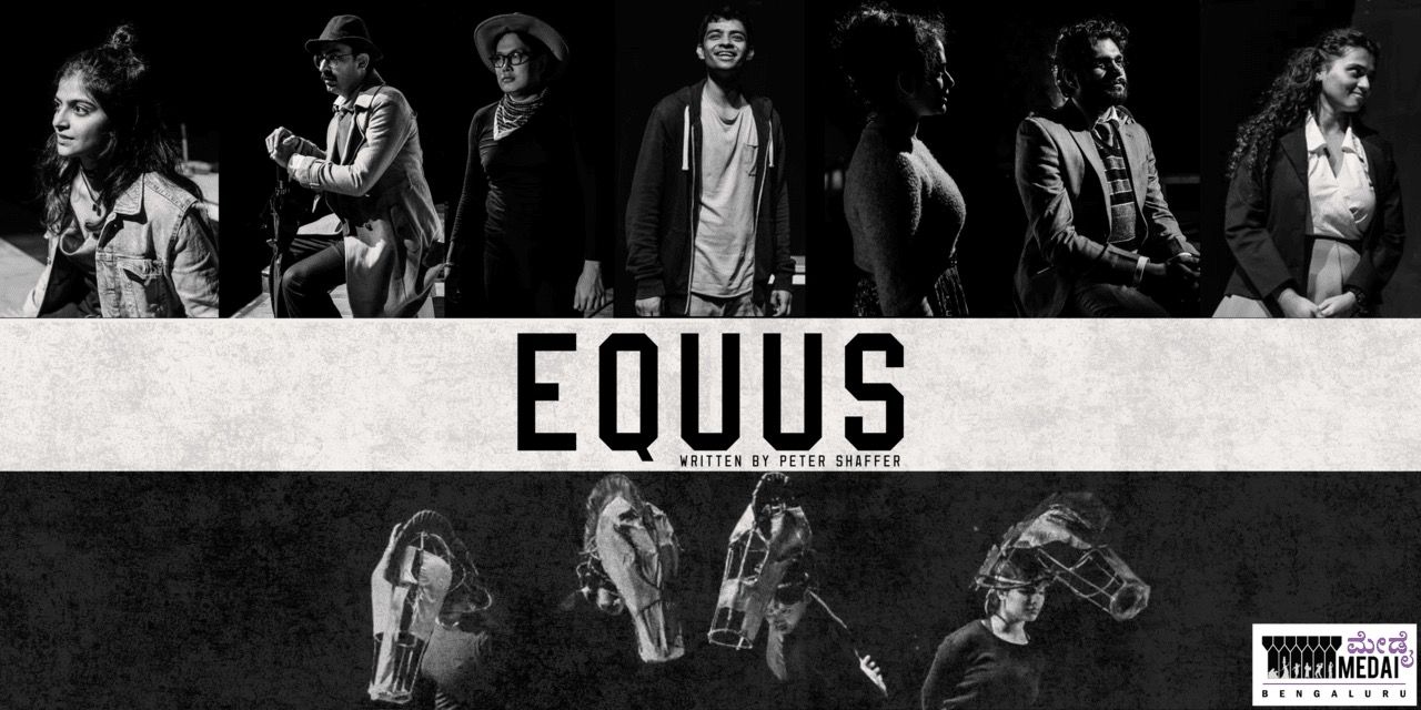 media-desktop-equus-0-2024-11-17-t-12-9-36.jpg
