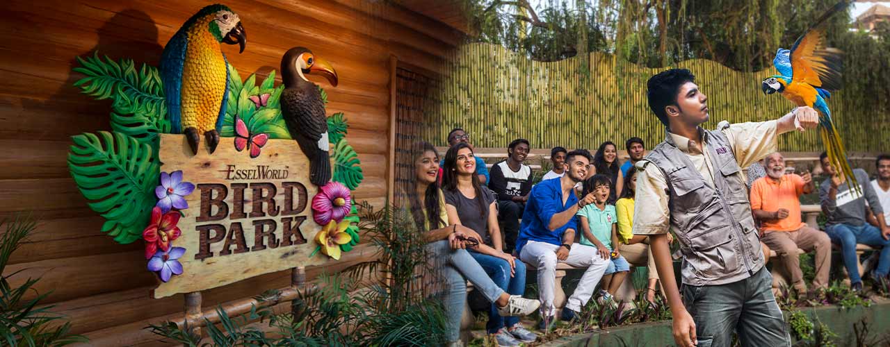 media-desktop-esselworld-bird-park-2019-11-12-t-11-4-47.jpg