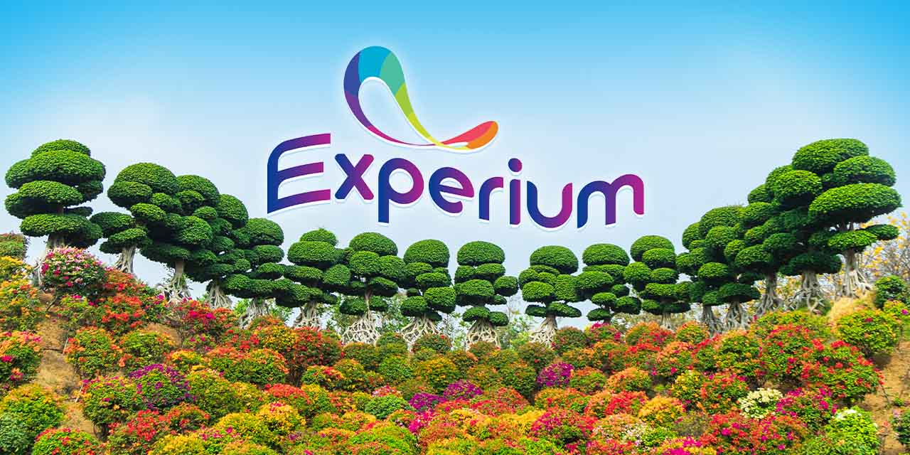 media-desktop-experium-0-2026-7-31-t-7-42-37.jpg