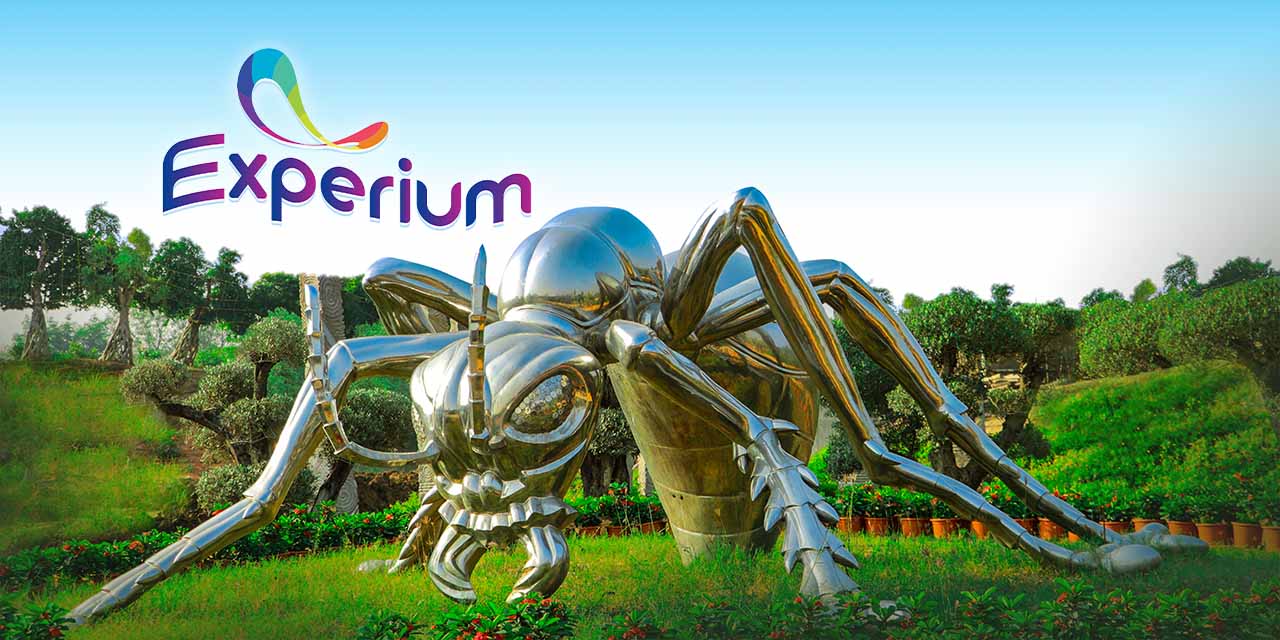 media-desktop-experium-1-2026-7-31-t-7-42-37.jpg