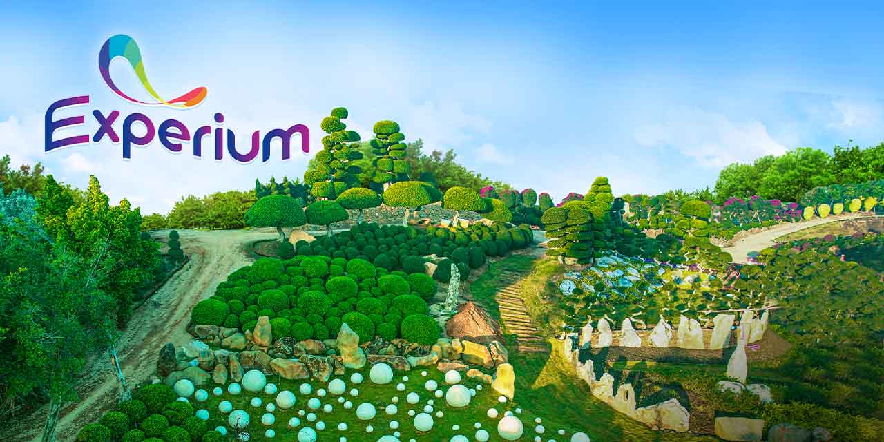 media-desktop-experium-2-2026-7-31-t-7-42-37.jpg