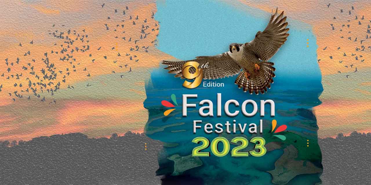 media-desktop-falcon-festival-0-2023-11-17-t-13-24-7.jpg