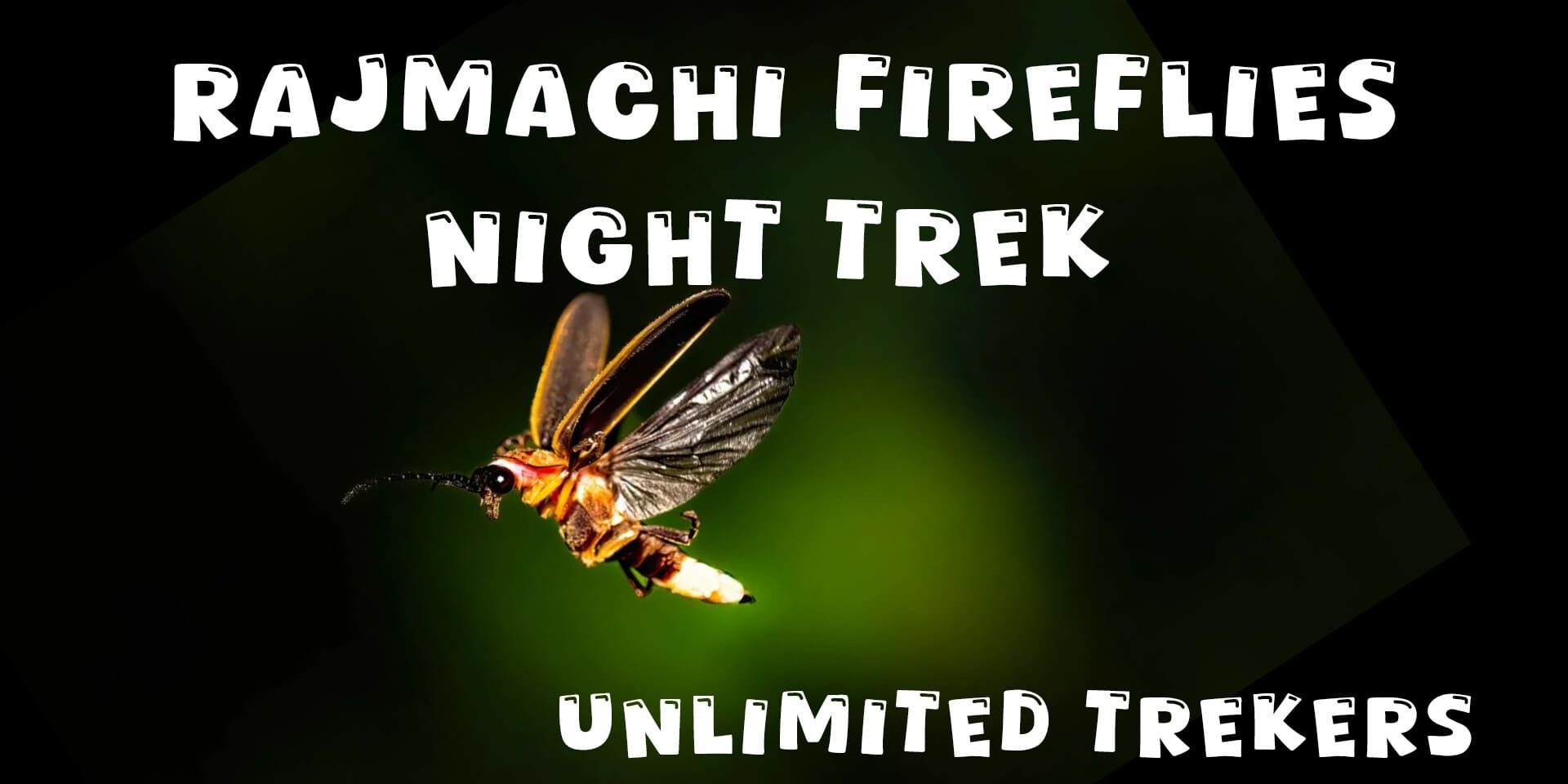 media-desktop-fireflies-rajmachi-trek-unlimited-trekers-0-2026-4-1-t-3-24-18.jpg