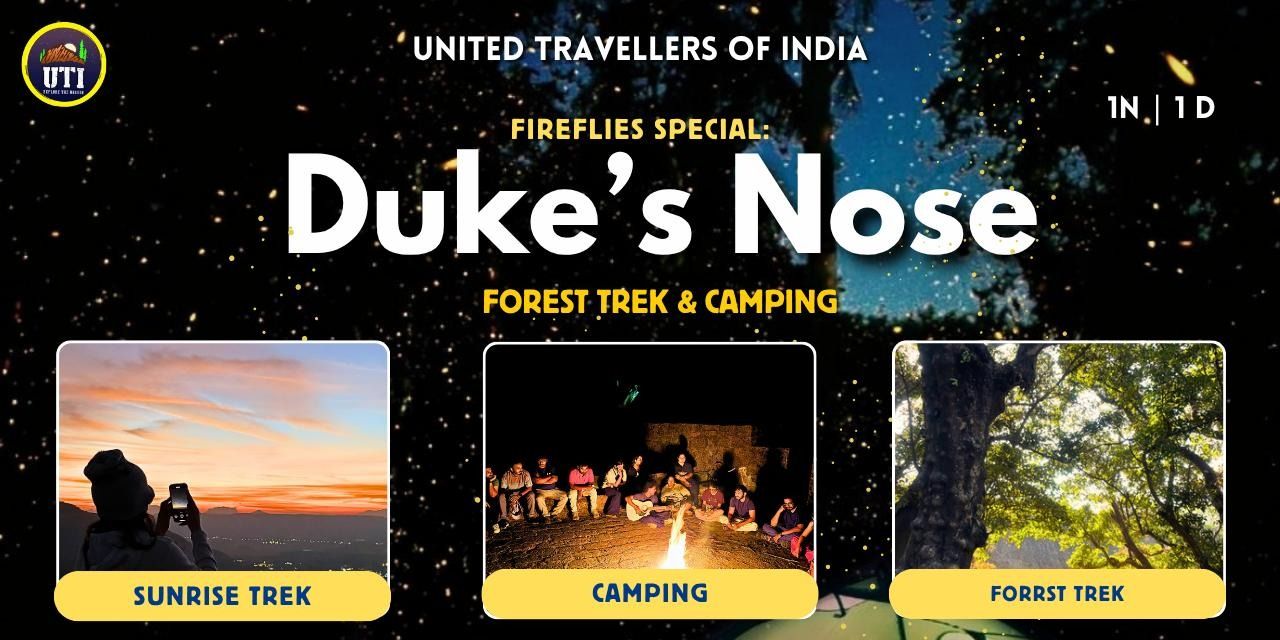media-desktop-fireflies-special-dukes-nose-trek-camping-uti-0-2026-5-8-t-7-41-20.jpg