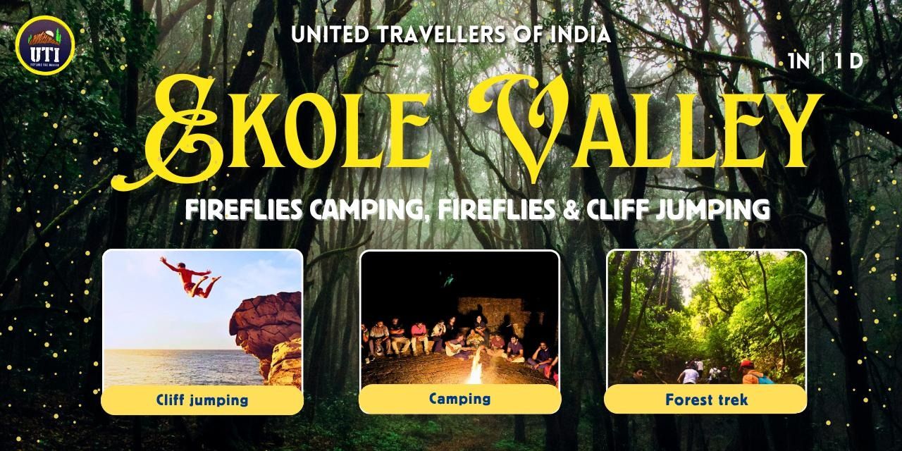 media-desktop-fireflies-special-ekole-valley-uti-0-2026-6-6-t-8-5-21.jpg