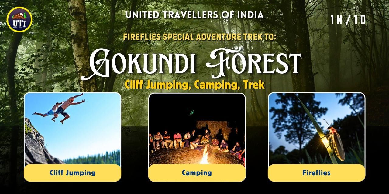 media-desktop-fireflies-special-gokundi-trek-uti-0-2026-5-5-t-6-31-55.jpg
