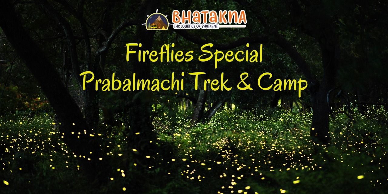 media-desktop-fireflies-special-prabalmachi-trek-camp-0-2022-5-10-t-9-11-7.jpg
