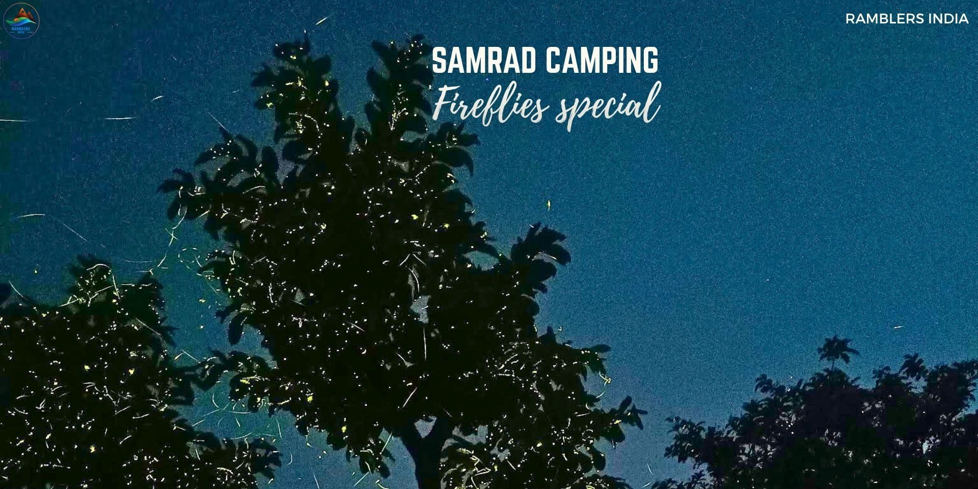 media-desktop-fireflies-special-samrad-camping-0-2026-6-8-t-9-14-24.jpg